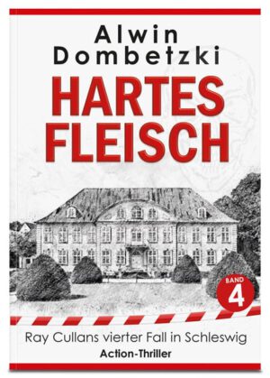 Action-Thriller von Schriftsteller Alwin Dombetzki