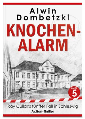 Action-Thriller von Schriftsteller Alwin Dombetzki